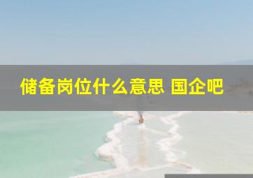 储备岗位什么意思 国企吧